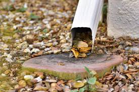 rain gutter downspout cluttered with dry leaves