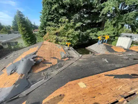 10 Signs Your Home Needs a New Roof in the Pacific Northwest